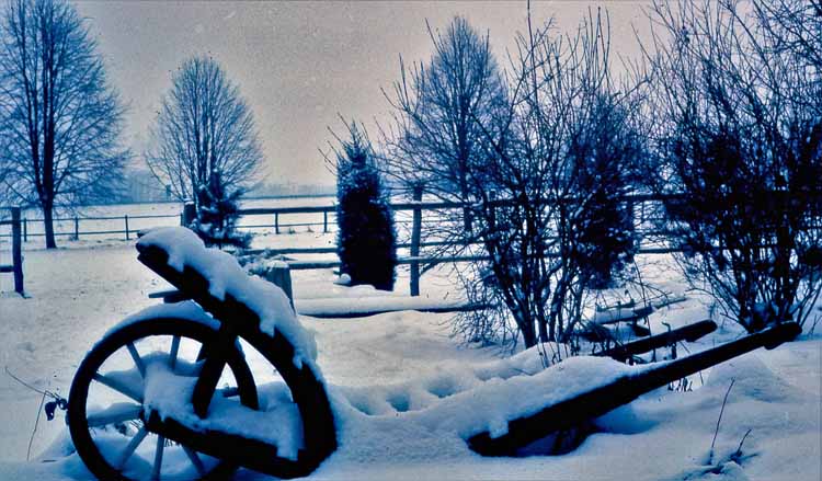 winter scene